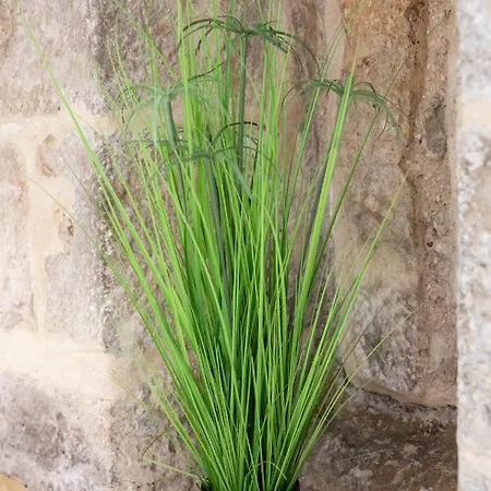 Apartman L' Echafaud - De Standing - Centre Historique *