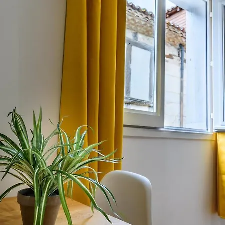 Apartman L' Echafaud - De Standing - Centre Historique Périgueux