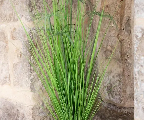 Apartment L' Echafaud - De Standing - Centre Historique *