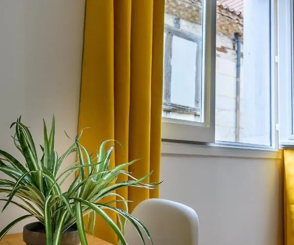 Apartment L' Echafaud - De Standing - Centre Historique Périgueux